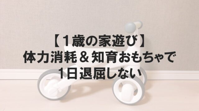 【1歳の家遊び】体力消耗と知育おもちゃで1日退屈しない